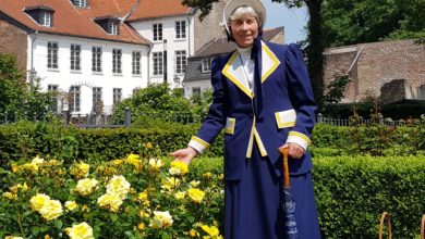 29. Mai im Schlosspark und Rosarium erleben