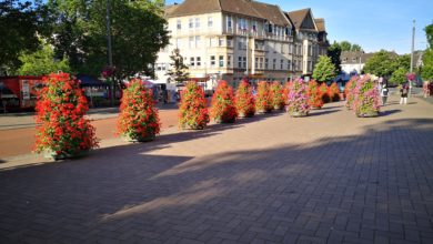 Neue Blumensäulen am Hamborner Altmarkt