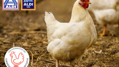 Erste Hähnchenprodukte bei ALDI erfüllen die Kriterien der Europäischen Masthuhn-Initiative 