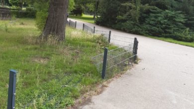 Vandalismus im Park