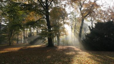 'Geheimnisvollen Schlosspark' am 10. September erkunden