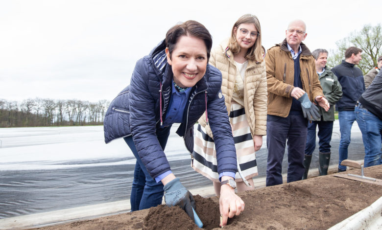 Landwirtschaftsministerin Silke Gorißen eröffnet nordrhein-westfälische Spargelsaison 2023 in Wesel