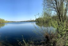 Exhibitionist am Waldsee / Polizei sucht weitereZeugen