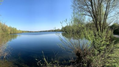 Exhibitionist am Waldsee / Polizei sucht weitereZeugen