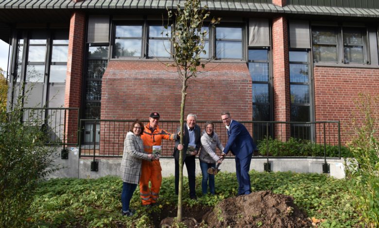 Gemeinsam grün – Naturpark Hohe Mark und Kreis Wesel pflanzen Winterlinde am Kreishaus